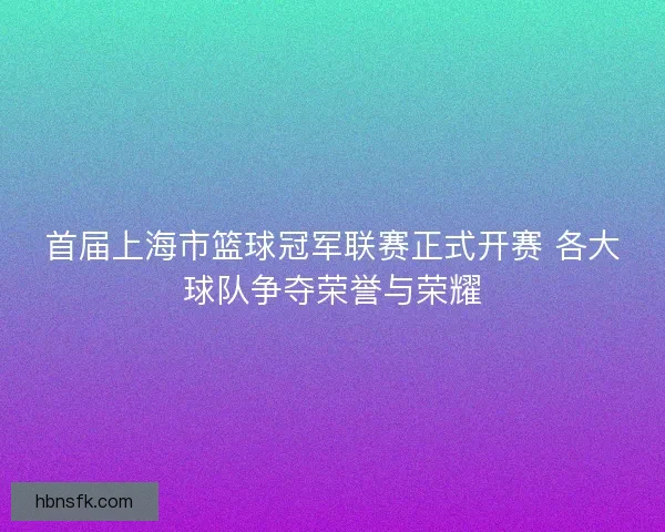 首届上海市篮球冠军联赛正式开赛 各大球队争夺荣誉与荣耀